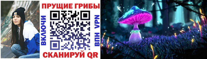 Псилоцибиновые грибы мицелий  omg как войти  Темников  закладка 